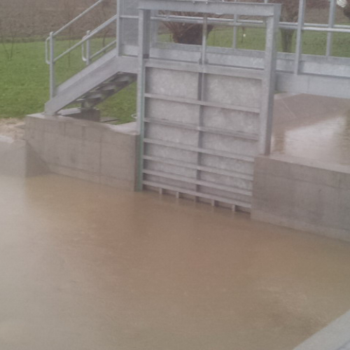 Intervento Gruppo Pc Muzzana del Turgnano n. 9 / 102738