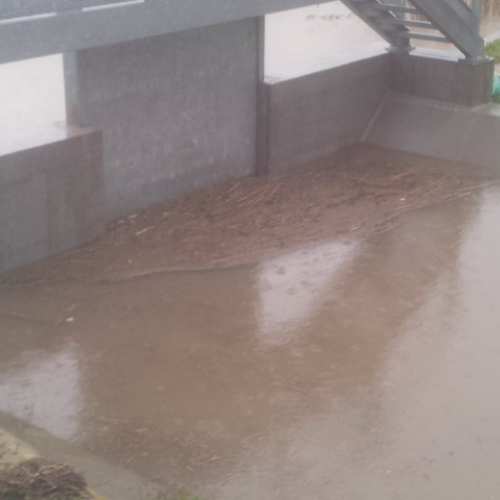 Intervento Gruppo Pc Muzzana del Turgnano n. 10 / 102739