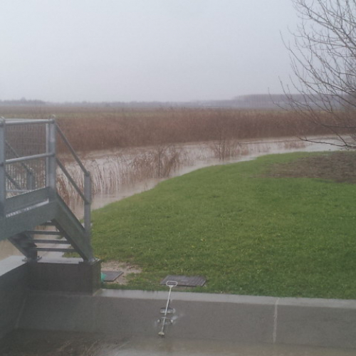 Intervento Gruppo Pc Muzzana del Turgnano n. 12 / 102741