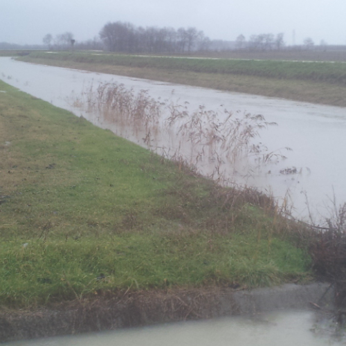 Intervento Gruppo Pc Muzzana del Turgnano n. 13 / 102742