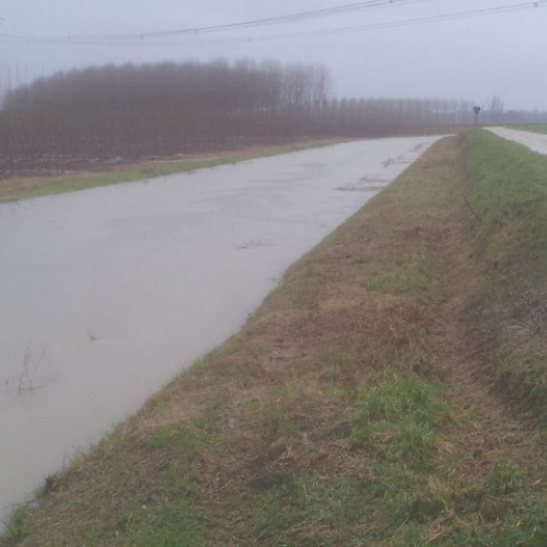 Intervento Gruppo Pc Muzzana del Turgnano n. 17 / 102746