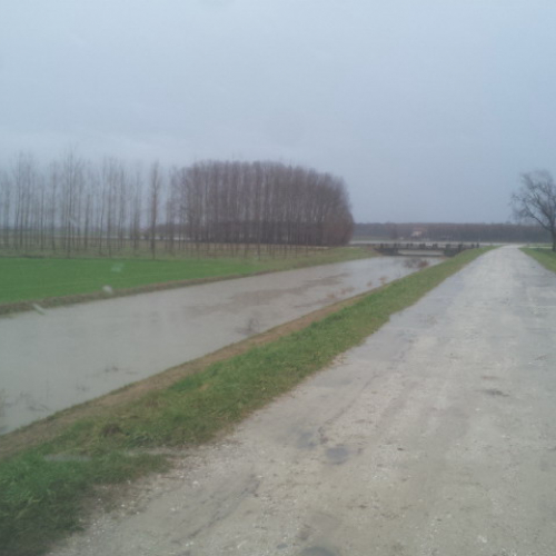 Intervento Gruppo Pc Muzzana del Turgnano n. 20 / 102749