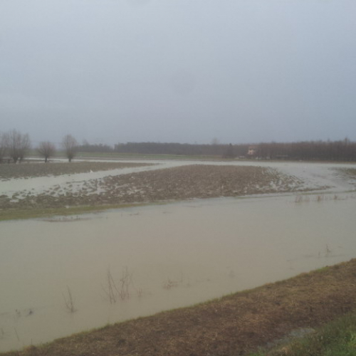 Intervento Gruppo Pc Muzzana del Turgnano n. 21 / 102750
