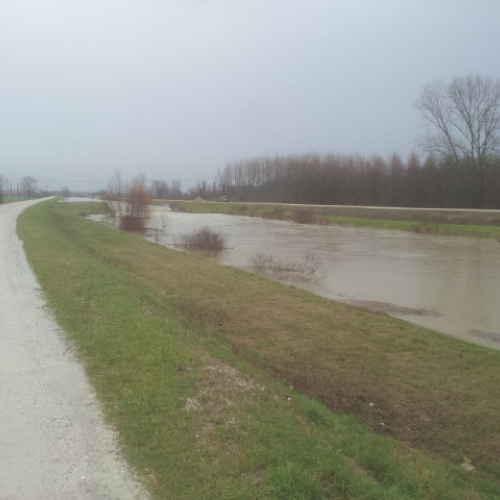 Intervento Gruppo Pc Muzzana del Turgnano n. 26 / 102755