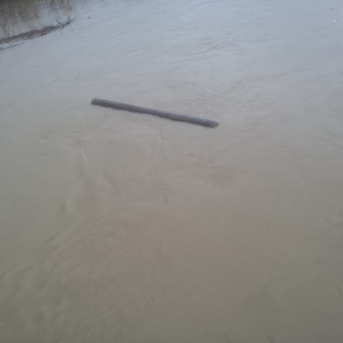 Intervento Gruppo Pc Muzzana del Turgnano n. 32 / 102761