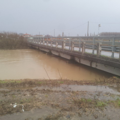 Intervento Gruppo Pc Muzzana del Turgnano n. 34 / 102763