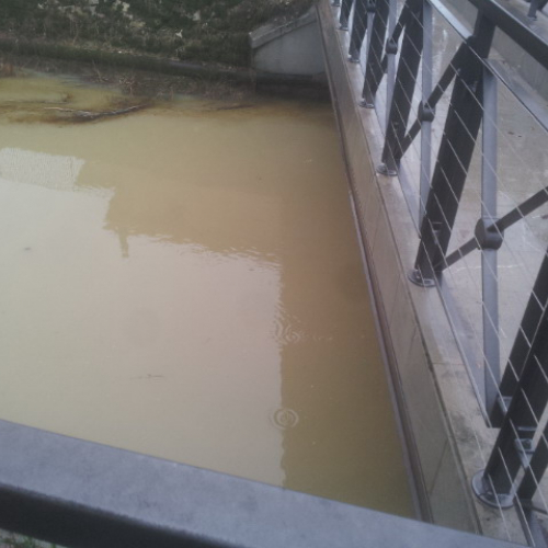 Intervento Gruppo Pc Muzzana del Turgnano n. 39 / 102768