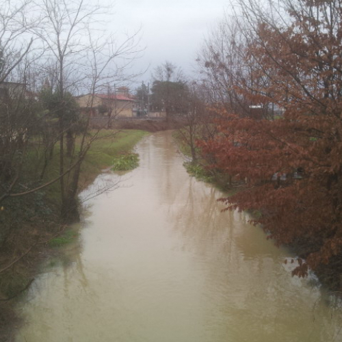 Intervento Gruppo Pc Muzzana del Turgnano n. 43 / 102772