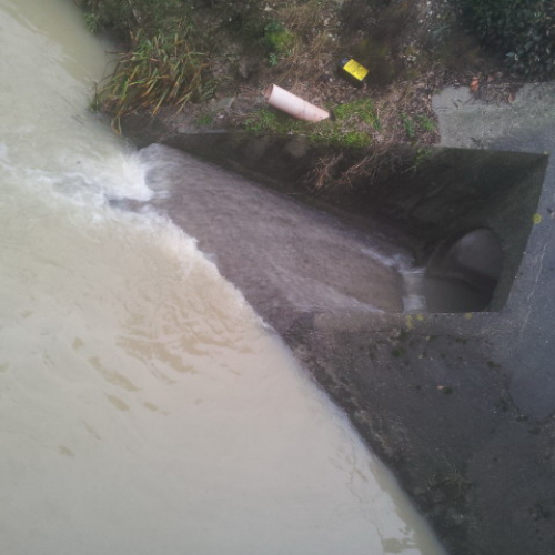 Intervento Gruppo Pc Muzzana del Turgnano n. 46 / 102775