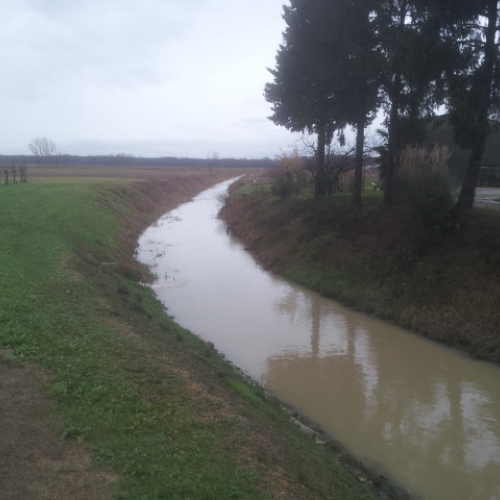 Intervento Gruppo Pc Muzzana del Turgnano n. 47 / 102776