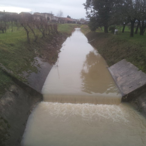 Intervento Gruppo Pc Muzzana del Turgnano n. 49 / 102778