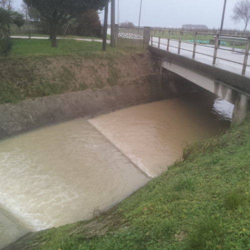 Intervento Gruppo Pc Muzzana del Turgnano n. 50 / 102779