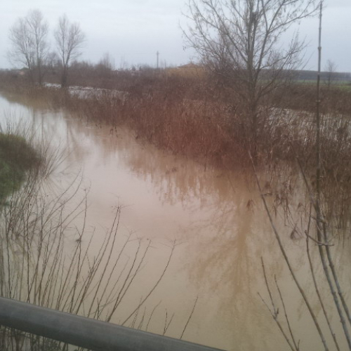 Intervento Gruppo Pc Muzzana del Turgnano n. 54 / 102783