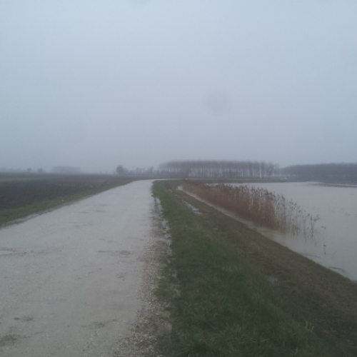 Attivit‡ di monitoraggio territorio n. 21 / 103273