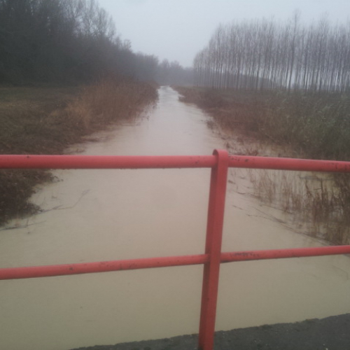 Attivit‡ di monitoraggio territorio n. 41 / 103293