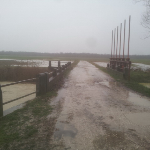Attivit‡ di monitoraggio territorio n. 45 / 103297