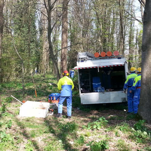 Alvei puliti - Livenza 2014 n. 3 / 106659