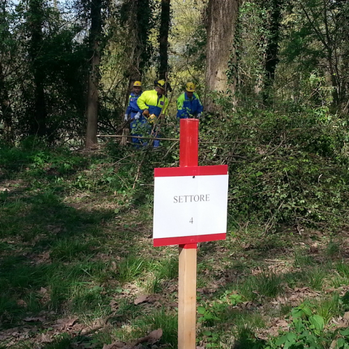 Alvei puliti - Livenza 2014 n. 4 / 106660