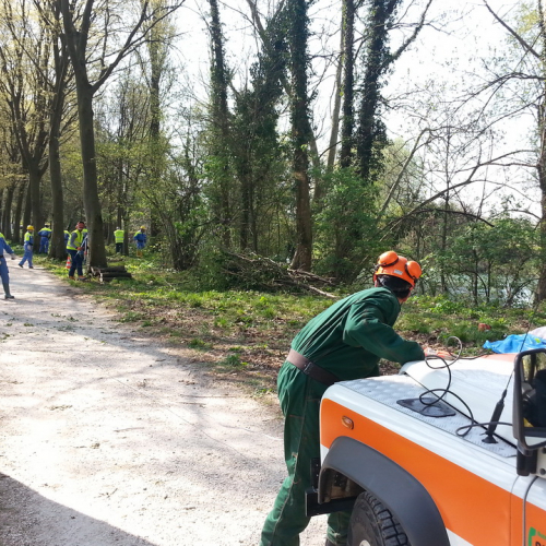 Alvei puliti - Livenza 2014 n. 6 / 106662