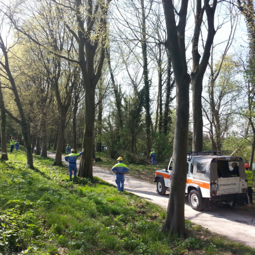 Alvei puliti - Livenza 2014 n. 13 / 106669