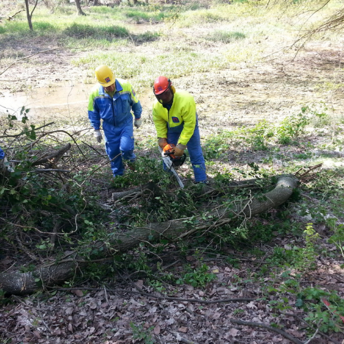 Alvei puliti - Livenza 2014 n. 15 / 106671