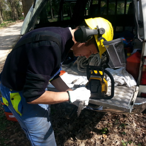 Alvei puliti - Livenza 2014 n. 26 / 106682