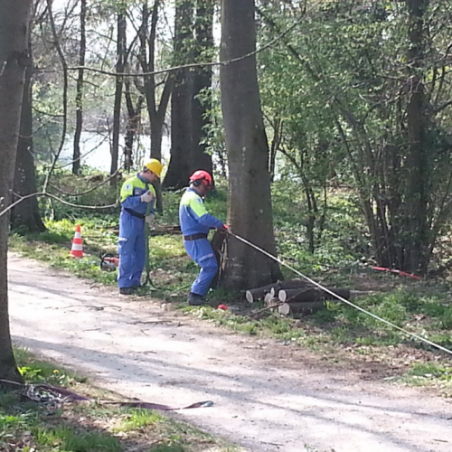 Alvei puliti - Livenza 2014 n. 27 / 106683