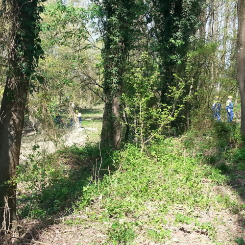 Alvei puliti - Livenza 2014 n. 30 / 106686