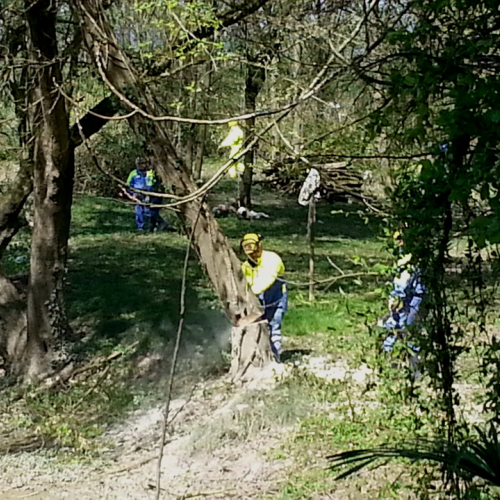 Alvei puliti - Livenza 2014 n. 32 / 106688