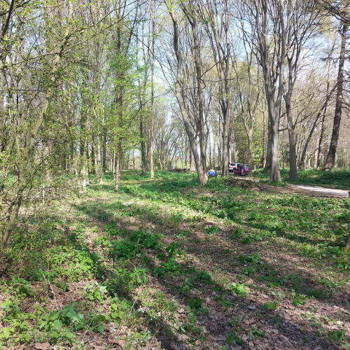 Alvei puliti - Livenza 2014 n. 33 / 106689