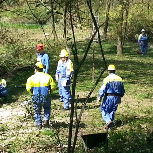 Alvei puliti - Livenza 2014 n. 35 / 106691