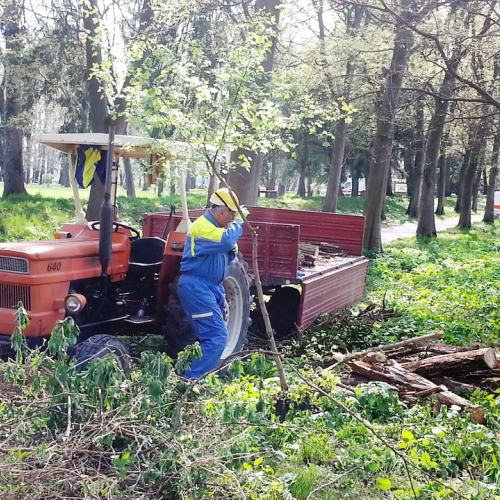 Alvei puliti - Livenza 2014 n. 37 / 106693