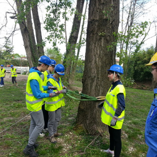 Terza Sessione Campi scuola (09.04.14) n. 4 / 109019