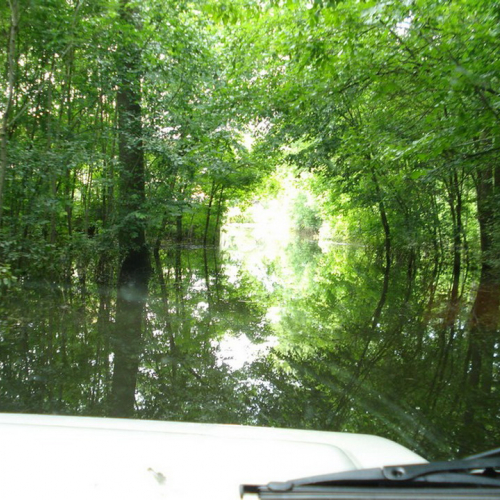 Attivit‡ Colonna mobile (Bijeljina) n. 55 / 109329