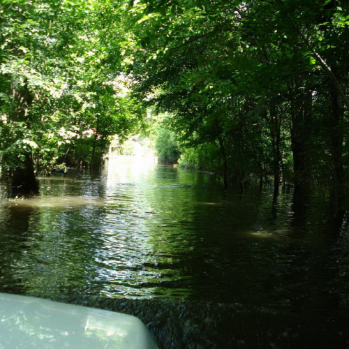 Attivit‡ Colonna mobile (Bijeljina) n. 88 / 109526