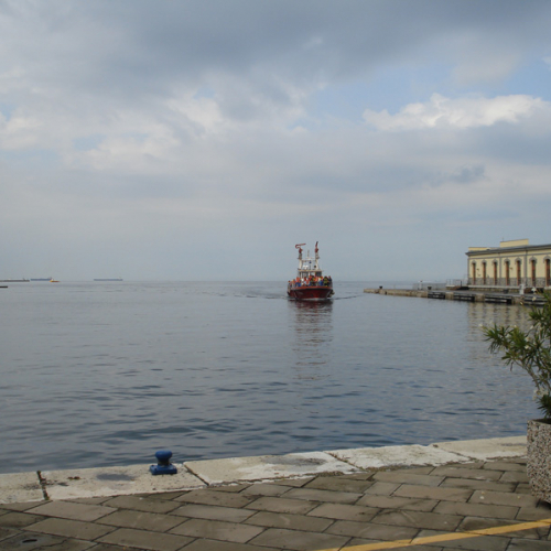 Esercitazione  SEASUBAREX  foto n.3 / 110966