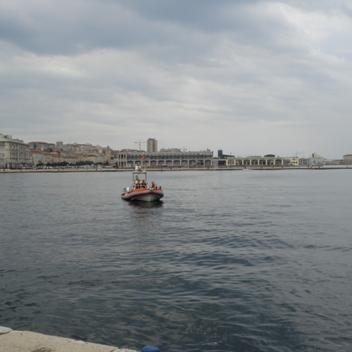 Esercitazione  SEASUBAREX  foto n.6 / 110969