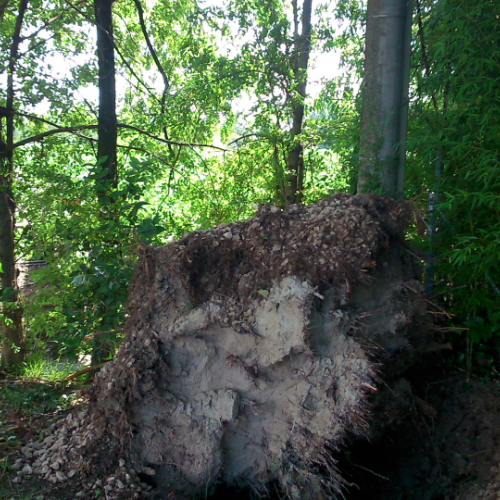 Porcia 13/08/2014 foto n.12 / 110763