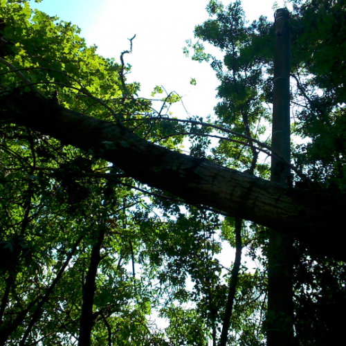 Porcia 13/08/2014 foto n.13 / 110764