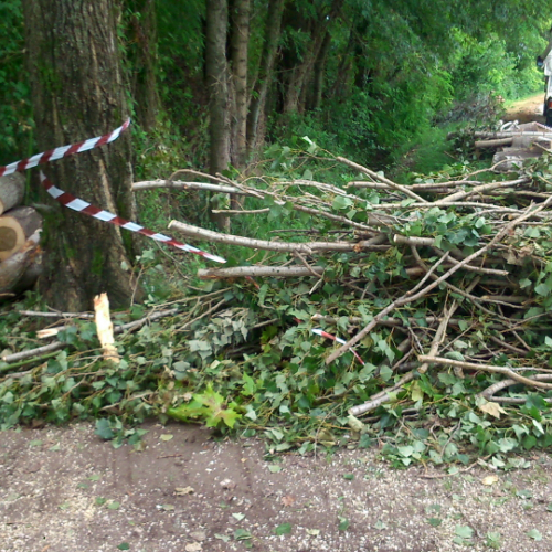 Porcia 13/08/2014 foto n.15 / 110766