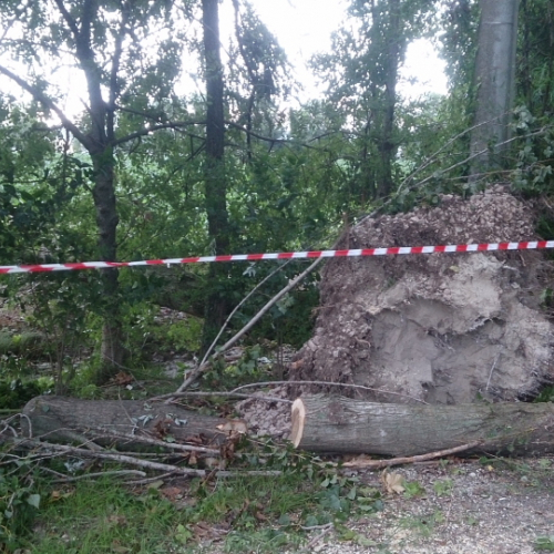 Porcia 13/08/2014 foto n.3 / 110754