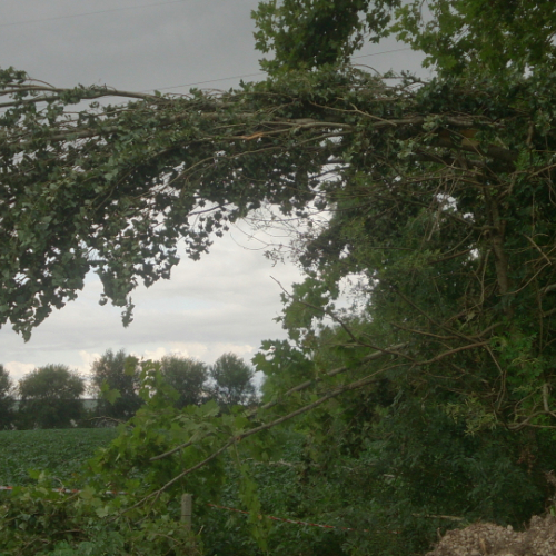 Porcia 13/08/2014 foto n.4 / 110755