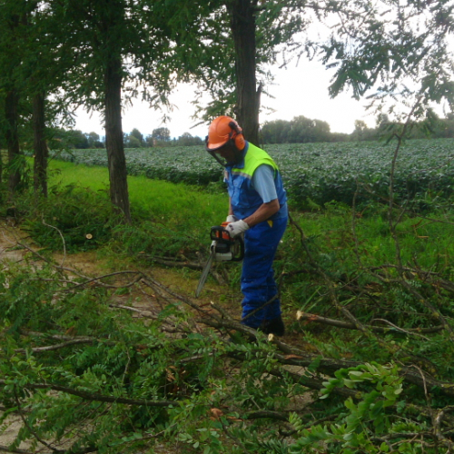 Porcia 13/08/2014 foto n.5 / 110756