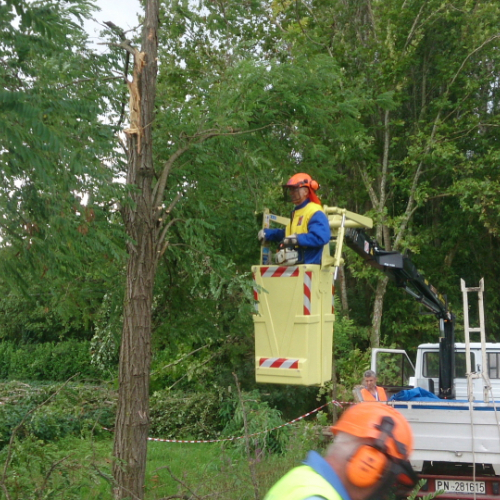 Porcia 13/08/2014 foto n.6 / 110757