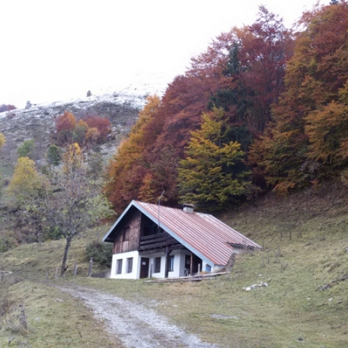 AIB PREONE 39 / 115221
