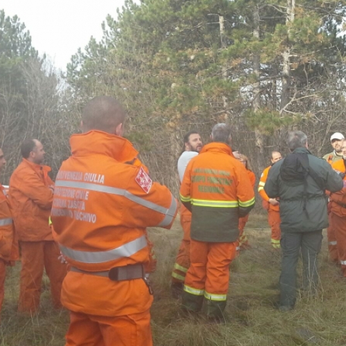 Esercitazione AIB - Trieste 12/12/2015 / 115545