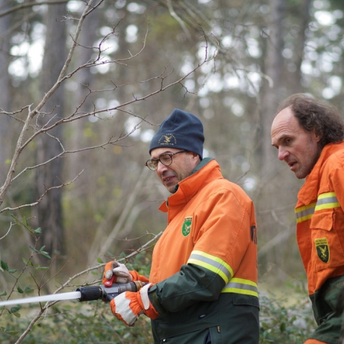 Esercitazione AIB - Trieste 12/12/2015 / 115547