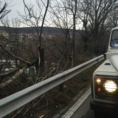 Interventi a causa della Bora foto n.6 / 112660