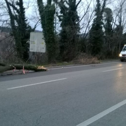 Interventi a causa della Bora foto n.11 / 112665