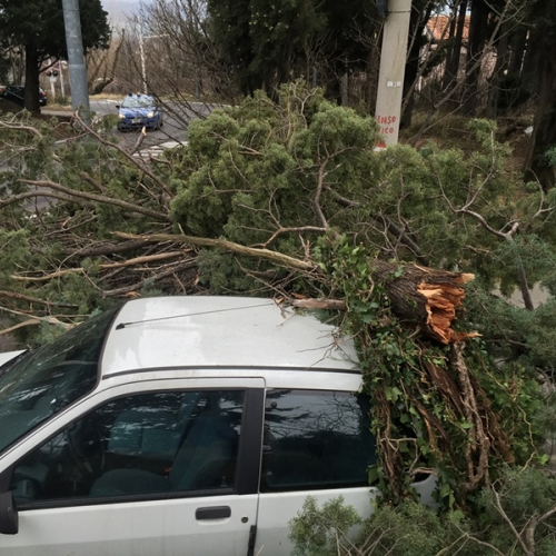 Interventi a causa della Bora foto n.13 / 112667